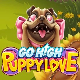 Go High Puppy Love slot icon by RubyPlay, available at BetSixty Casino